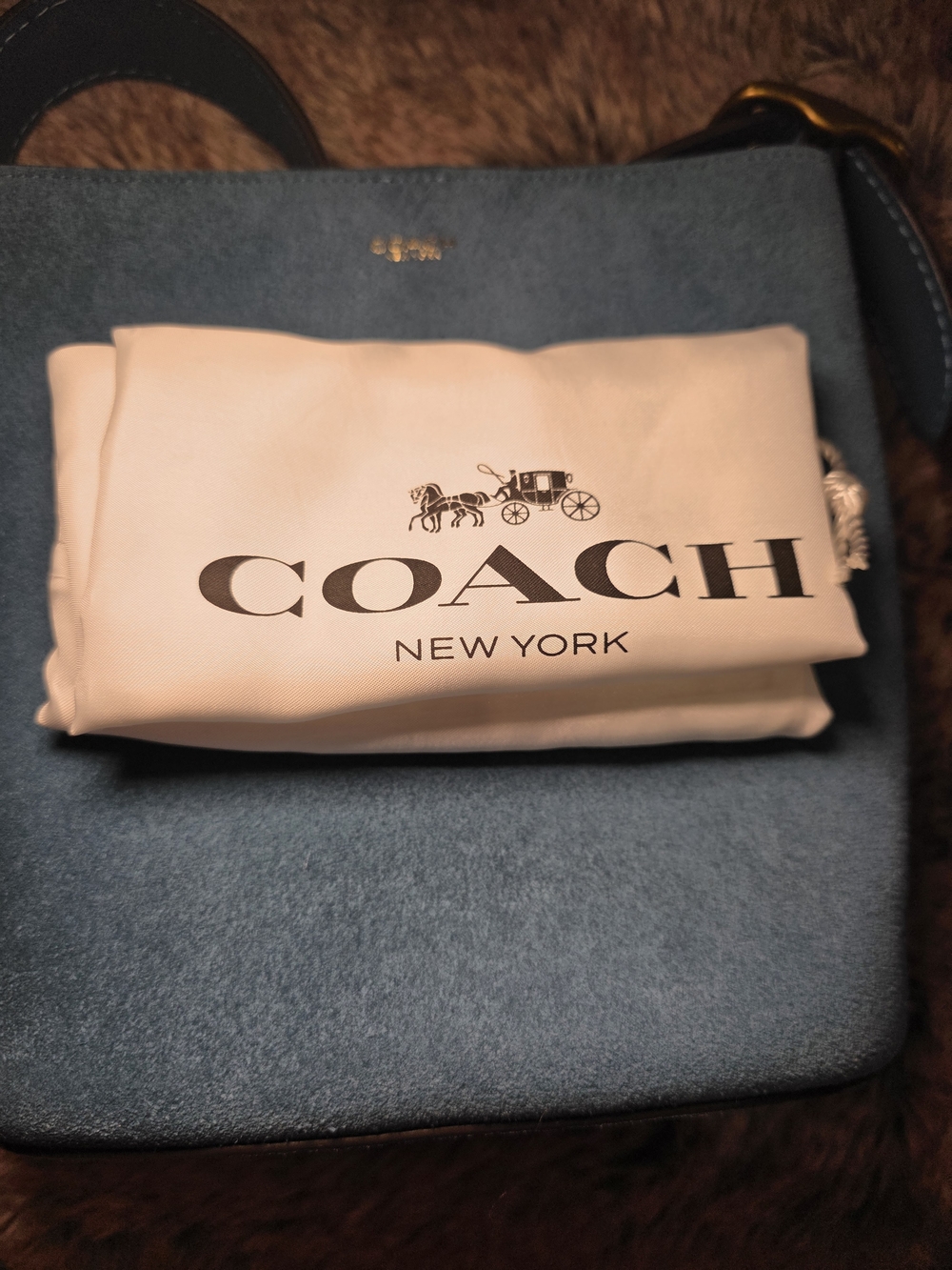 Coach Bleeket 21 Suede Crossbody in  Blue